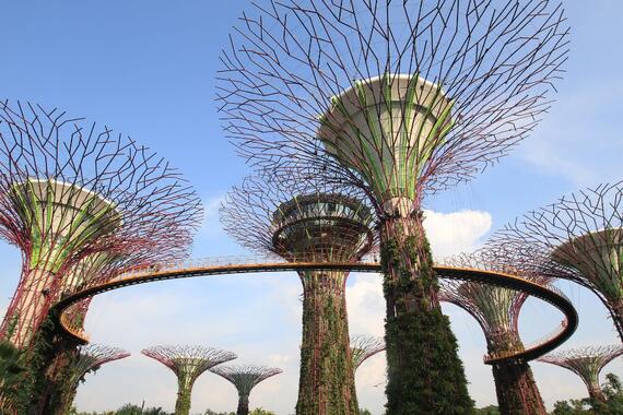Find tranquil respite at Gardens by the Bay