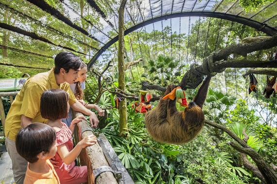 An experiential learning journey at the Singapore Zoo